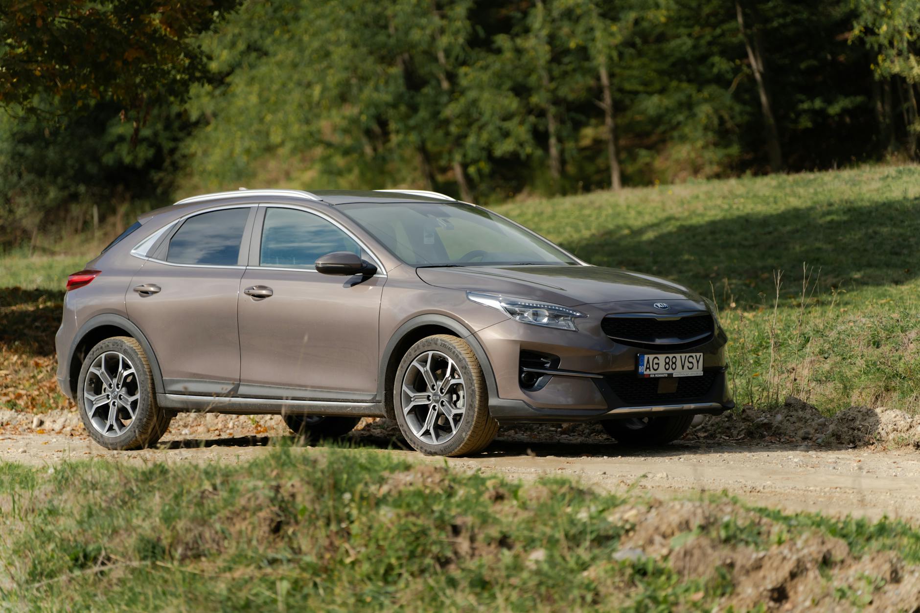 Citroën C5 Aircross jedzie leśną drogą w słoneczny dzień